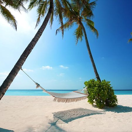Costa Fina Ph Apartman Playa del Carmen Kültér fotó